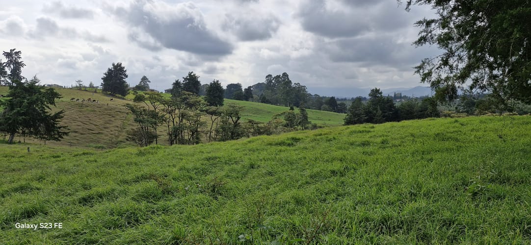 Lote en venta en La Convencion, Rionegro, 25231 m² · foto 5 de 14