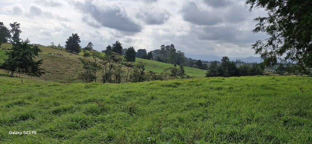 Lote en venta en La Convencion, Rionegro, 25231 m² · foto 6 de 14