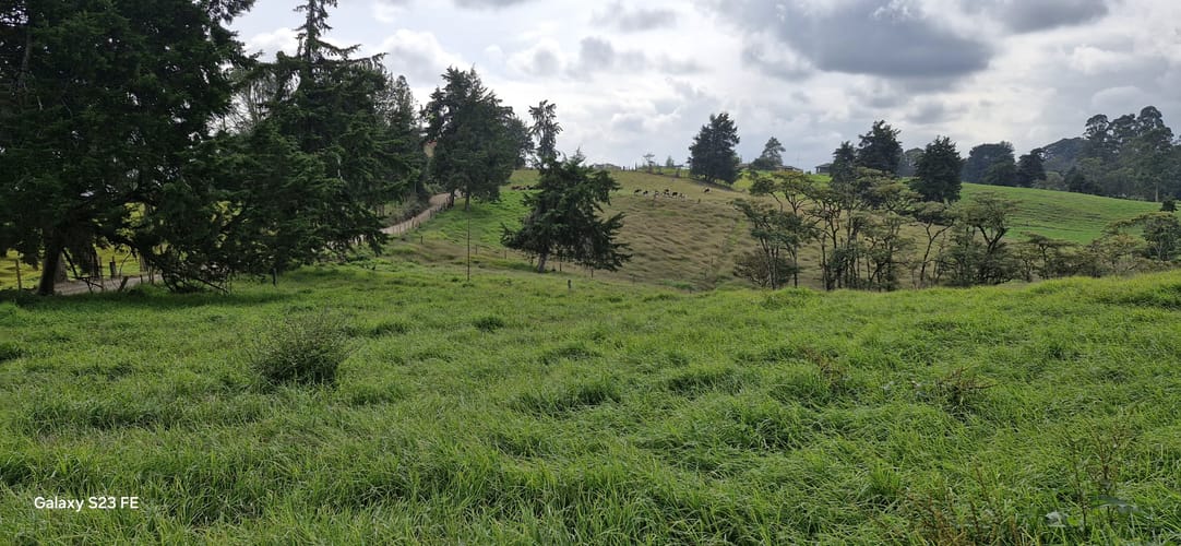 Lote en venta en La Convencion, Rionegro, 25231 m² · foto 7 de 14