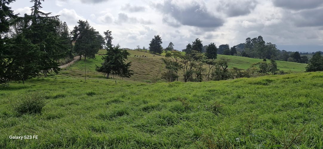 Lote en venta en La Convencion, Rionegro, 25231 m² · foto 8 de 14
