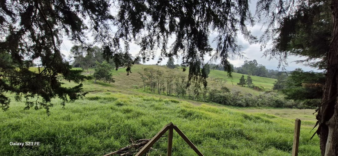 Lote en venta en La Convencion, Rionegro, 25231 m² · foto 9 de 14
