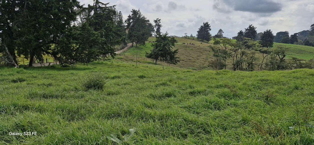 Lote en venta en La Convencion, Rionegro, 25231 m² · foto 10 de 14