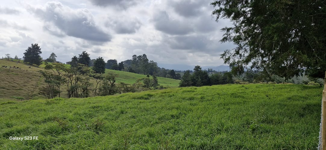 Lote en venta en La Convencion, Rionegro, 25231 m² · foto 11 de 14