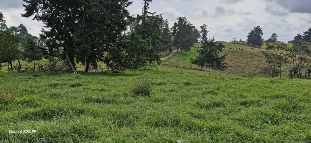 Lote en venta en La Convencion, Rionegro, 25231 m² · foto 13 de 14