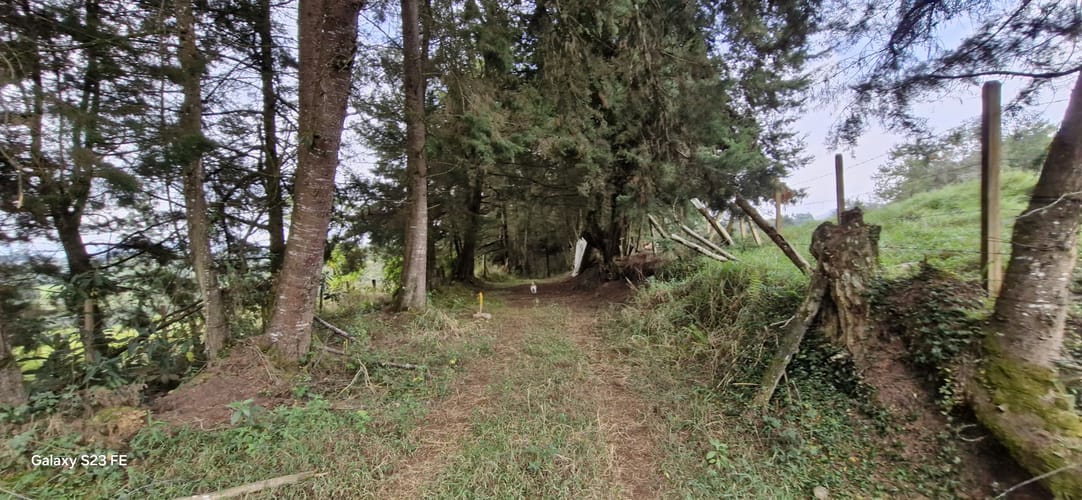 Lote en venta en La Convencion, Rionegro, 25231 m² · foto 14 de 14