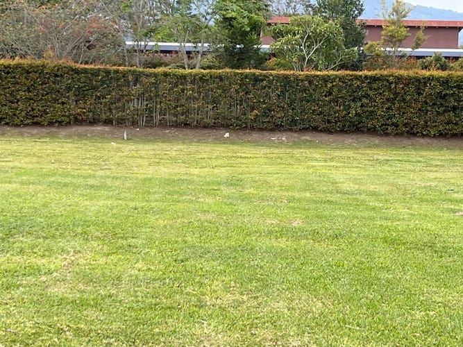 Lote en venta en Guayabito, Rionegro, 1250 m² · foto 4 de 17