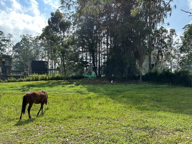 Lote en venta en Llano Grande, Rionegro, 7000 m² · foto 2 de 16