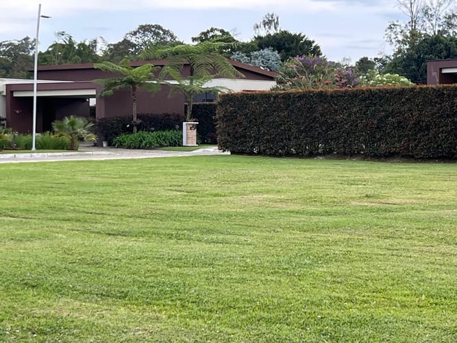 Lote en venta en Guayabito, Rionegro, 1250 m² · foto 8 de 17