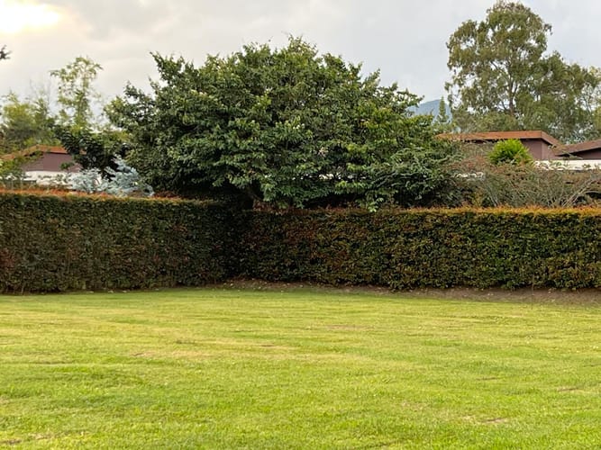 Lote en venta en Guayabito, Rionegro, 1250 m² · foto 10 de 17