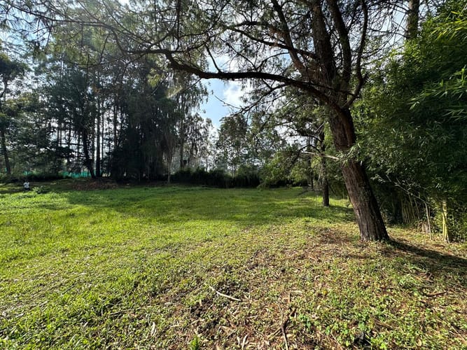 Lote en venta en Llano Grande, Rionegro, 7000 m² · foto 5 de 16