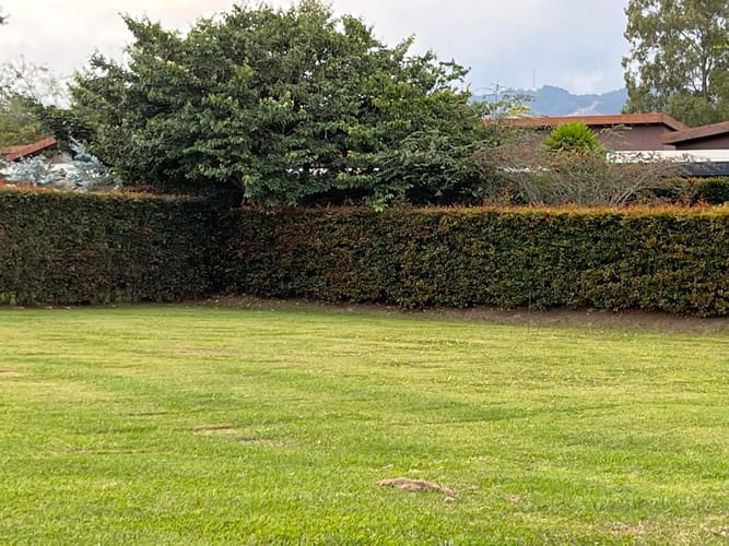 Lote en venta en Guayabito, Rionegro, 1250 m² · foto 11 de 17