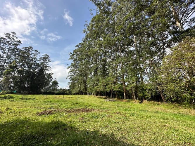 Lote en venta en Llano Grande, Rionegro, 7000 m² · foto 7 de 16