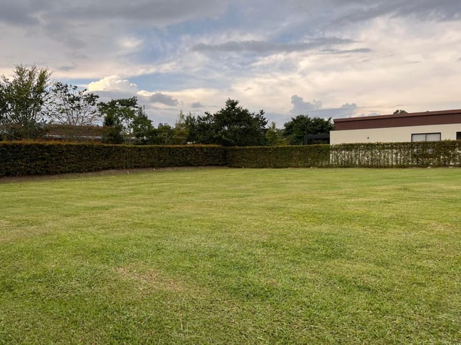 Lote en venta en Guayabito, Rionegro, 1250 m² · foto 15 de 17