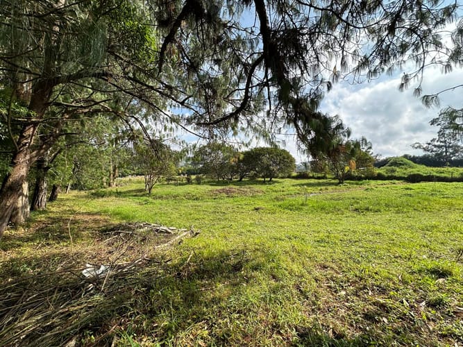 Lote en venta en Llano Grande, Rionegro, 7000 m² · foto 9 de 16