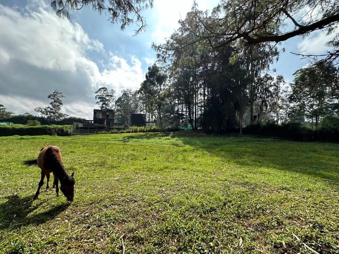 Lote en venta en Llano Grande, Rionegro, 7000 m² · foto 10 de 16
