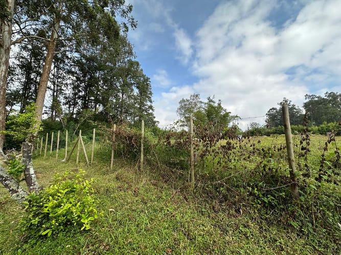 Lote en venta en Llano Grande, Rionegro, 7000 m² · foto 12 de 16