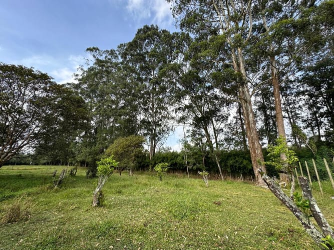 Lote en venta en Llano Grande, Rionegro, 7000 m² · foto 13 de 16