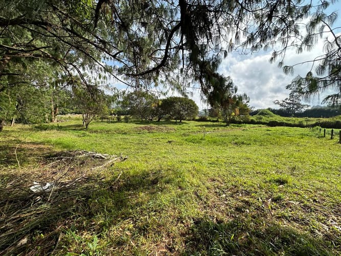 Lote en venta en Llano Grande, Rionegro, 7000 m² · foto 14 de 16