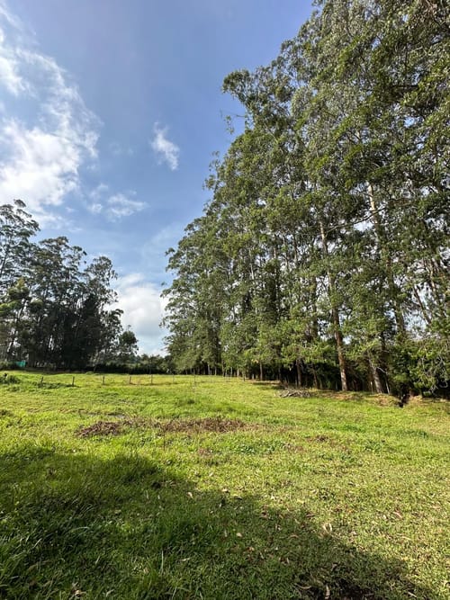 Lote en venta en Llano Grande, Rionegro, 7000 m² · foto 15 de 16