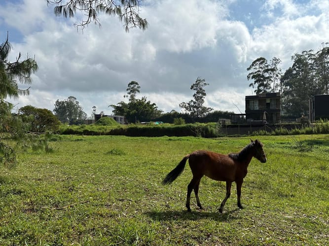 Lote en venta en Llano Grande, Rionegro, 7000 m² · foto 16 de 16