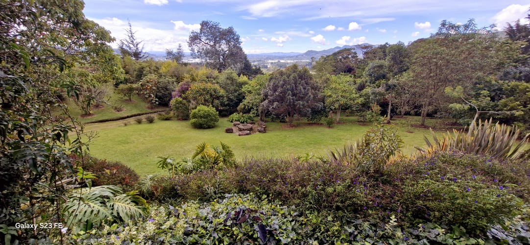 Finca en venta en El Tambo, La Ceja, 134 m² · foto 11 de 23