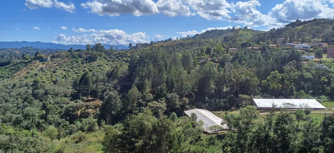 Lote en venta en San Jose, Guarne, 2000 m² · foto 5 de 8