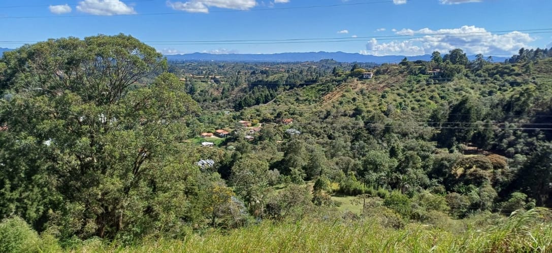 Lote en venta en San Jose, Guarne, 2000 m² · foto 6 de 8