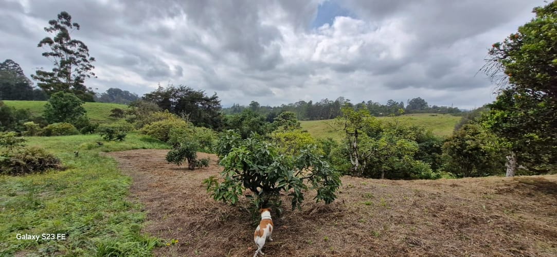 Lote en venta en La Convencion, Rionegro, 25000 m² · foto 2 de 24