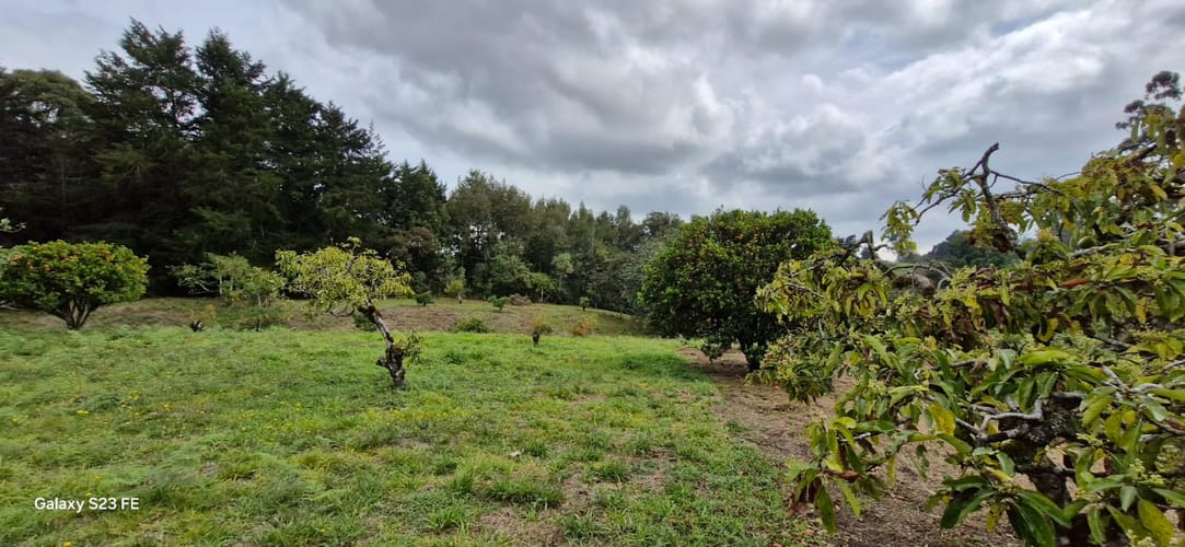 Lote en venta en La Convencion, Rionegro, 25000 m² · foto 3 de 24