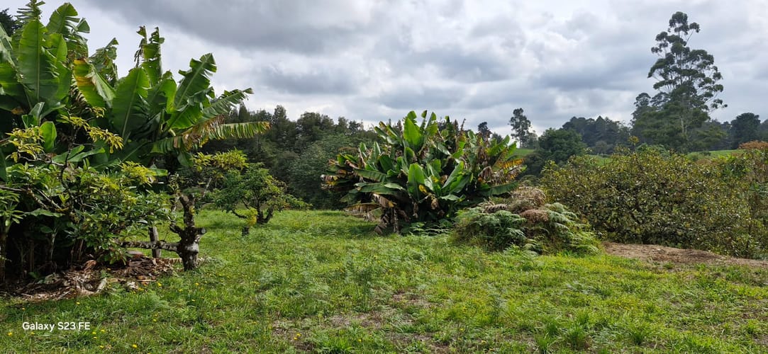 Lote en venta en La Convencion, Rionegro, 25000 m² · foto 4 de 24
