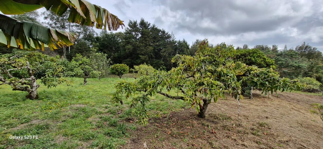 Lote en venta en La Convencion, Rionegro, 25000 m² · foto 5 de 24