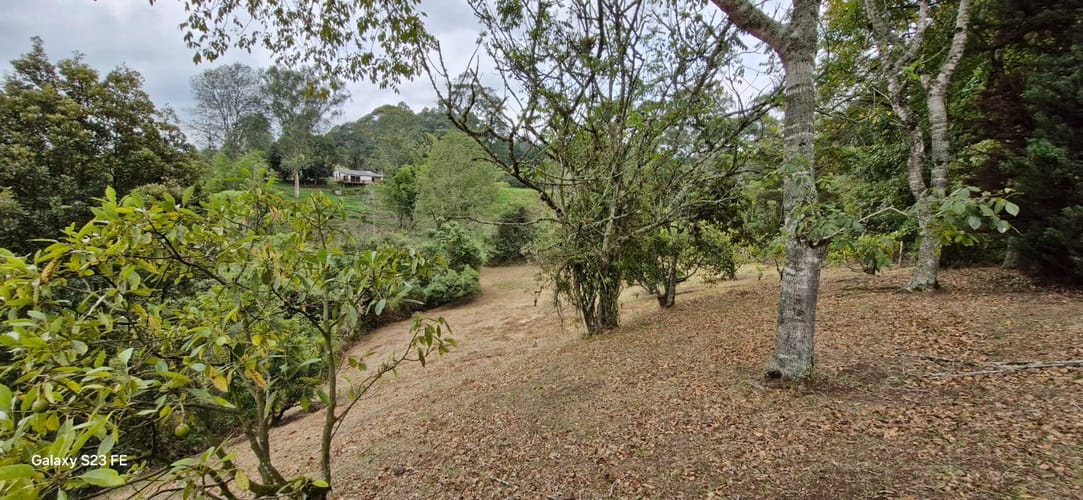 Lote en venta en La Convencion, Rionegro, 25000 m² · foto 6 de 24