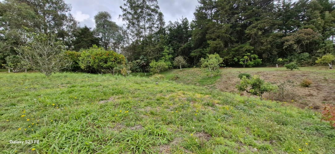 Lote en venta en La Convencion, Rionegro, 25000 m² · foto 7 de 24