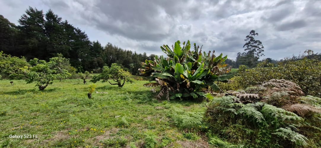 Lote en venta en La Convencion, Rionegro, 25000 m² · foto 8 de 24