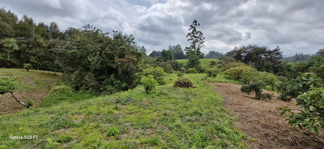 Lote en venta en La Convencion, Rionegro, 25000 m² · foto 9 de 24