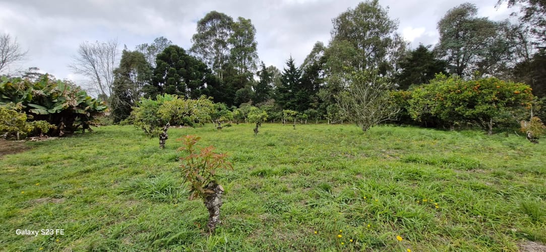 Lote en venta en La Convencion, Rionegro, 25000 m² · foto 10 de 24