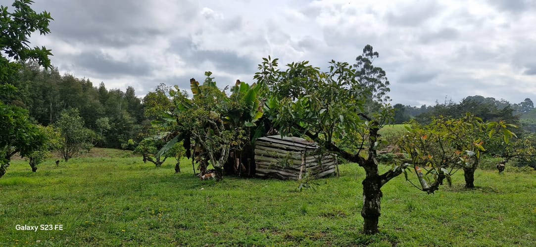 Lote en venta en La Convencion, Rionegro, 25000 m² · foto 11 de 24