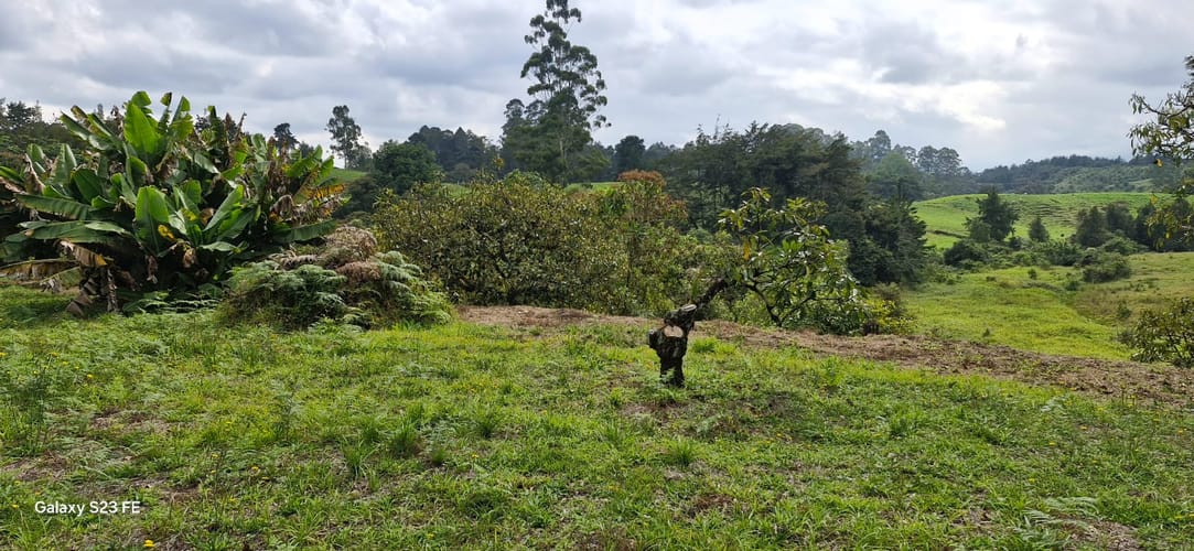 Lote en venta en La Convencion, Rionegro, 25000 m² · foto 12 de 24