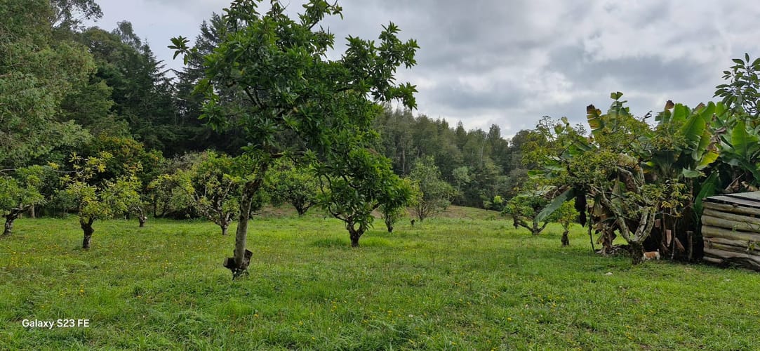 Lote en venta en La Convencion, Rionegro, 25000 m² · foto 13 de 24