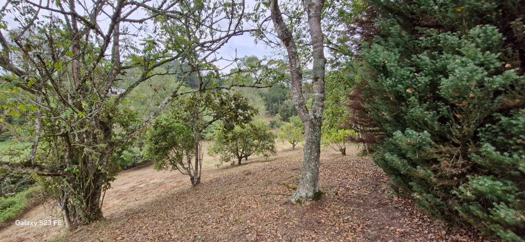 Lote en venta en La Convencion, Rionegro, 25000 m² · foto 14 de 24