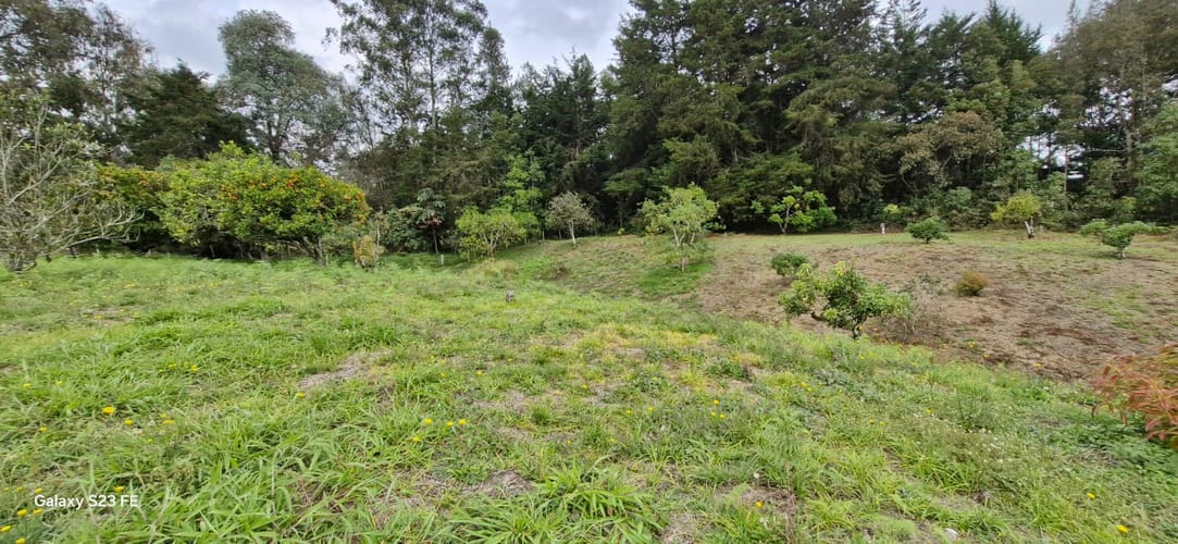 Lote en venta en La Convencion, Rionegro, 25000 m² · foto 15 de 24