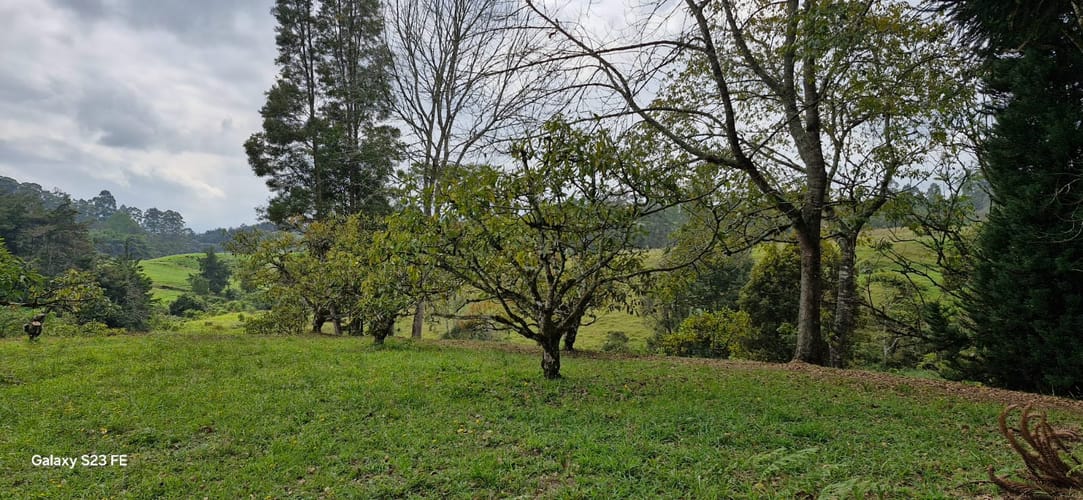 Lote en venta en La Convencion, Rionegro, 25000 m² · foto 16 de 24