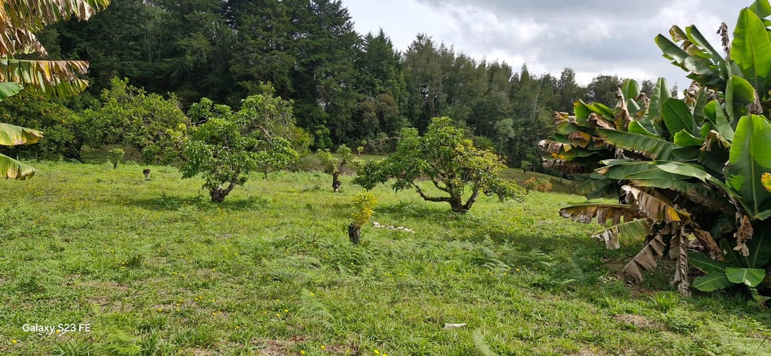 Lote en venta en La Convencion, Rionegro, 25000 m² · foto 17 de 24