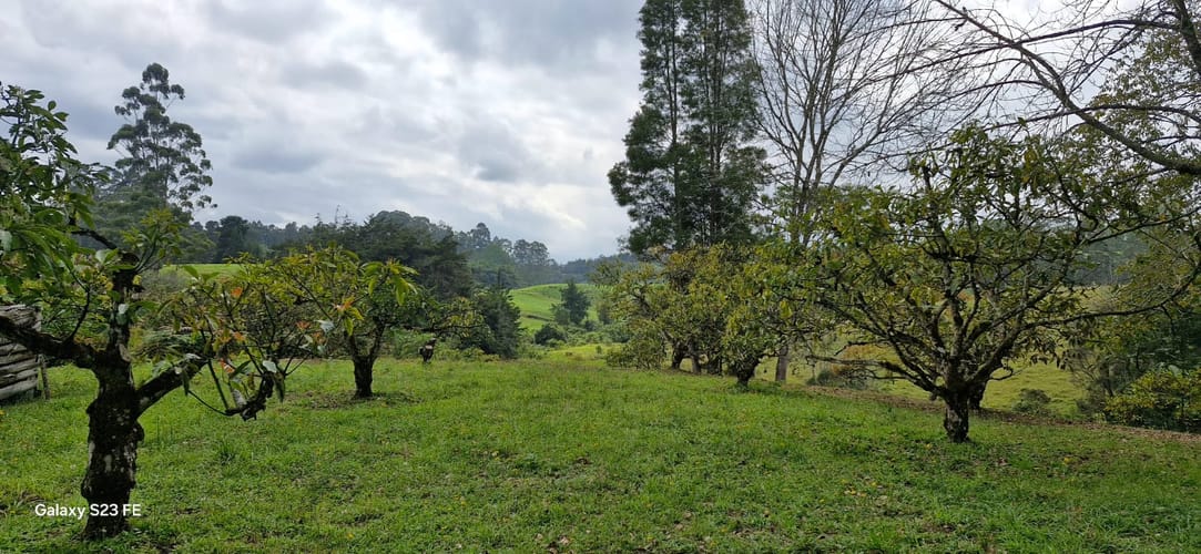 Lote en venta en La Convencion, Rionegro, 25000 m² · foto 18 de 24