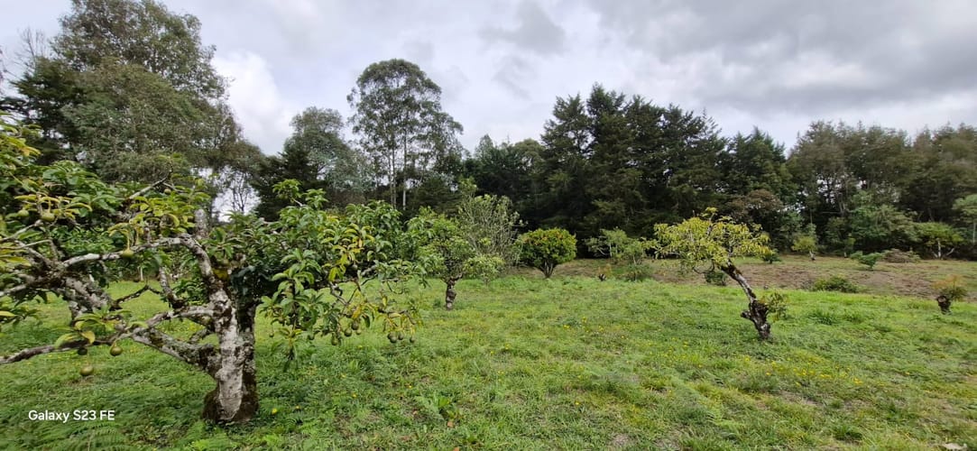 Lote en venta en La Convencion, Rionegro, 25000 m² · foto 20 de 24