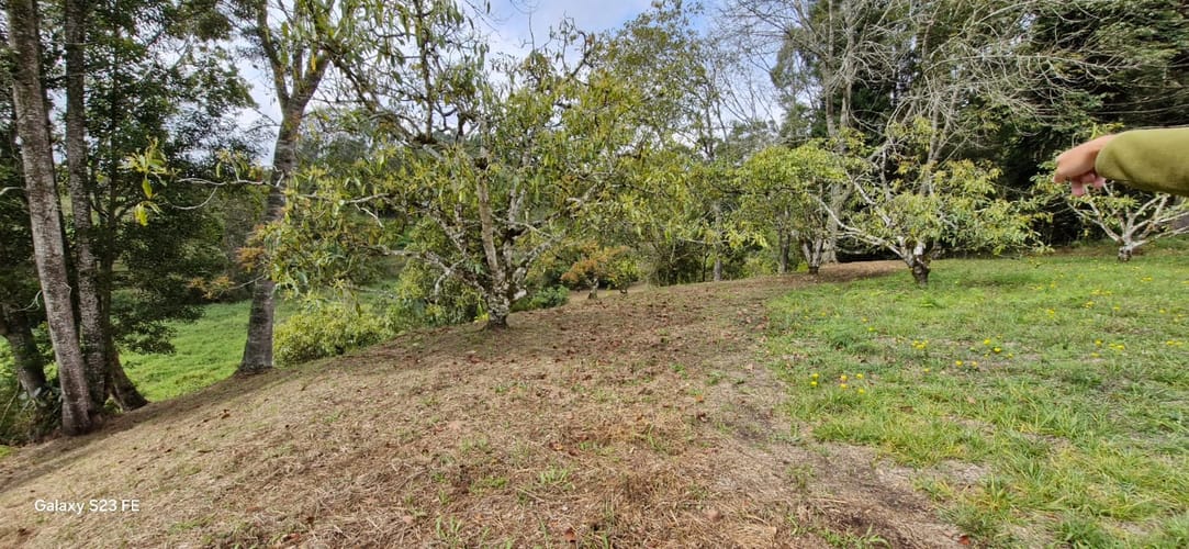 Lote en venta en La Convencion, Rionegro, 25000 m² · foto 21 de 24