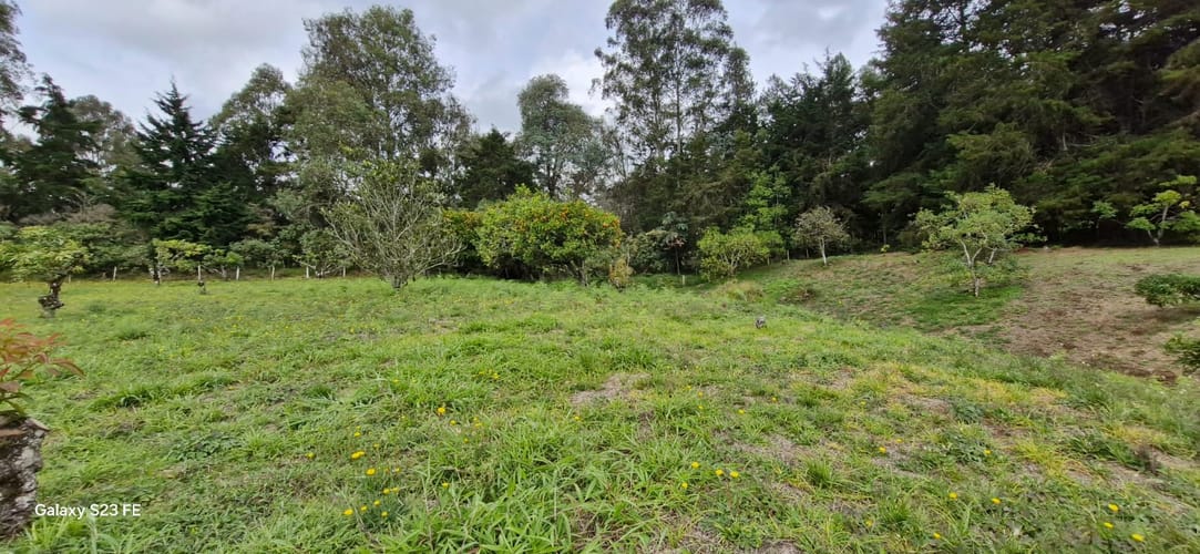 Lote en venta en La Convencion, Rionegro, 25000 m² · foto 22 de 24