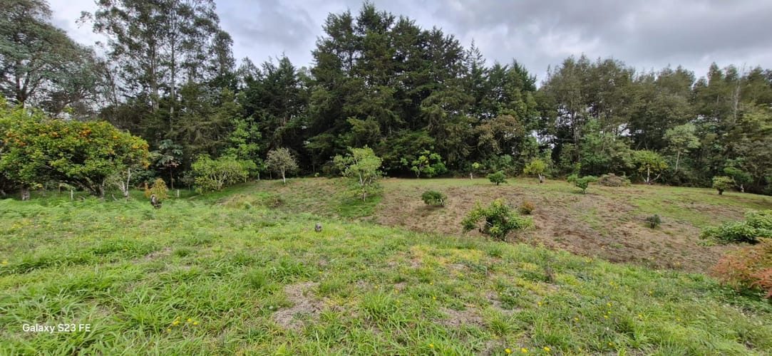 Lote en venta en La Convencion, Rionegro, 25000 m² · foto 23 de 24