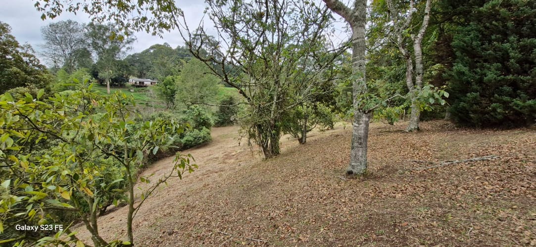Lote en venta en La Convencion, Rionegro, 25000 m² · foto 24 de 24