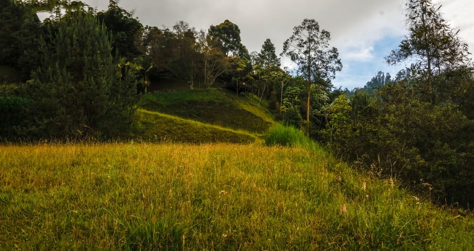 Lote en venta en Loma Del Chocho, Envigado, 5543 m² · foto 2 de 13